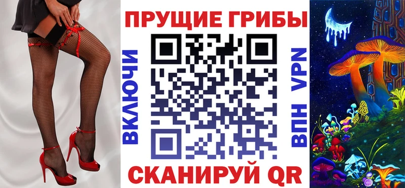 где можно купить наркотик  блэк спрут зеркало  Псилоцибиновые грибы Magic Shrooms  Новоуральск 